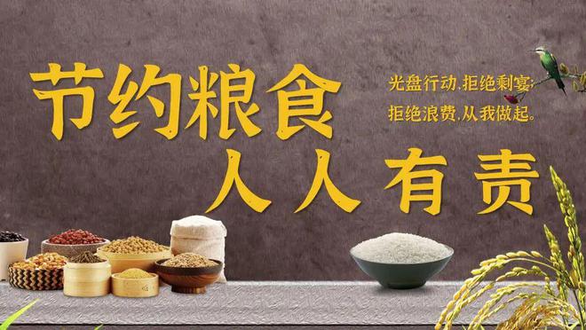 ag真人平台官方5套世界粮食日PPT模板做粮食安全宣传周活动PPT真合适！(图6)