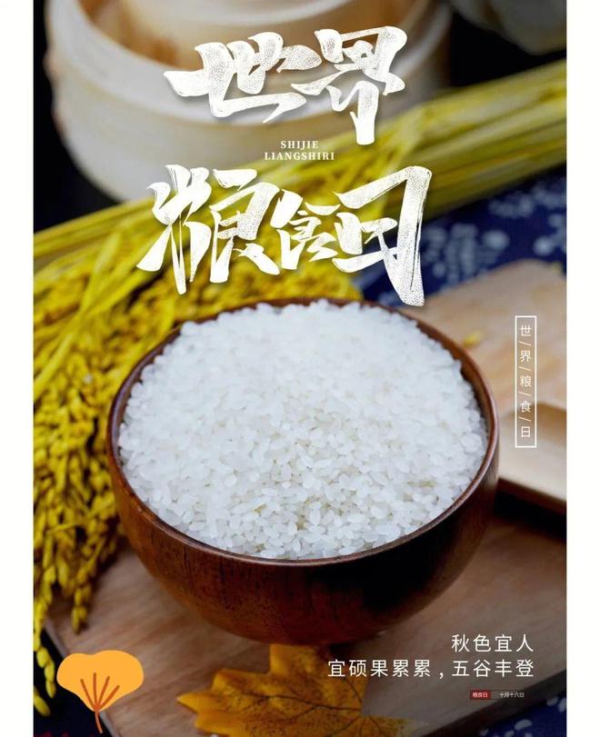 ag真人平台官方5套世界粮食日PPT模板做粮食安全宣传周活动PPT真合适！(图1)